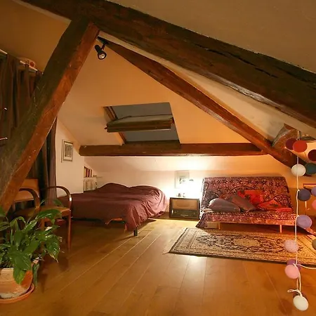 Mansarde Des Artistes Apartment Paris